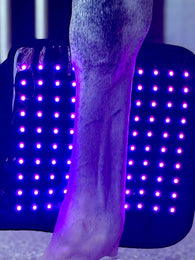Blue, red and NIR Infrared tendon boot for horses held behind the front foot of a horse