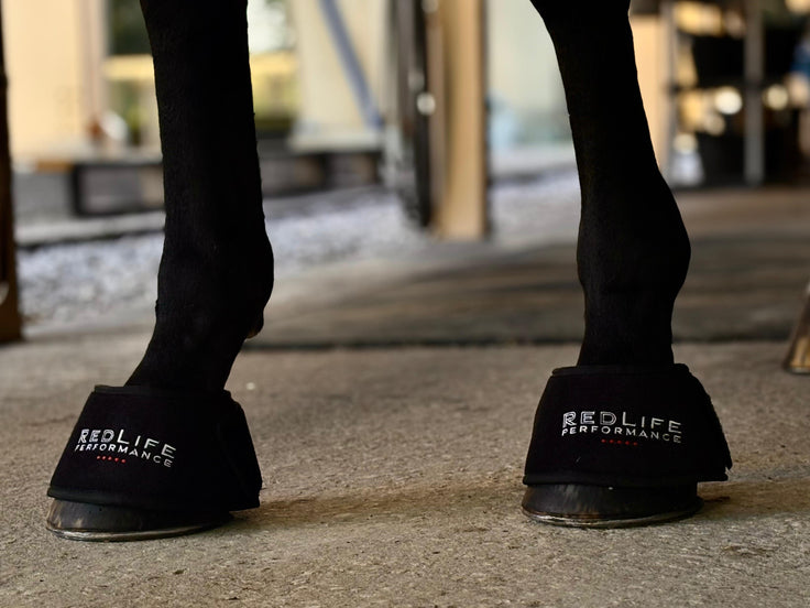 Red Light Therapy Equine Bell Boot