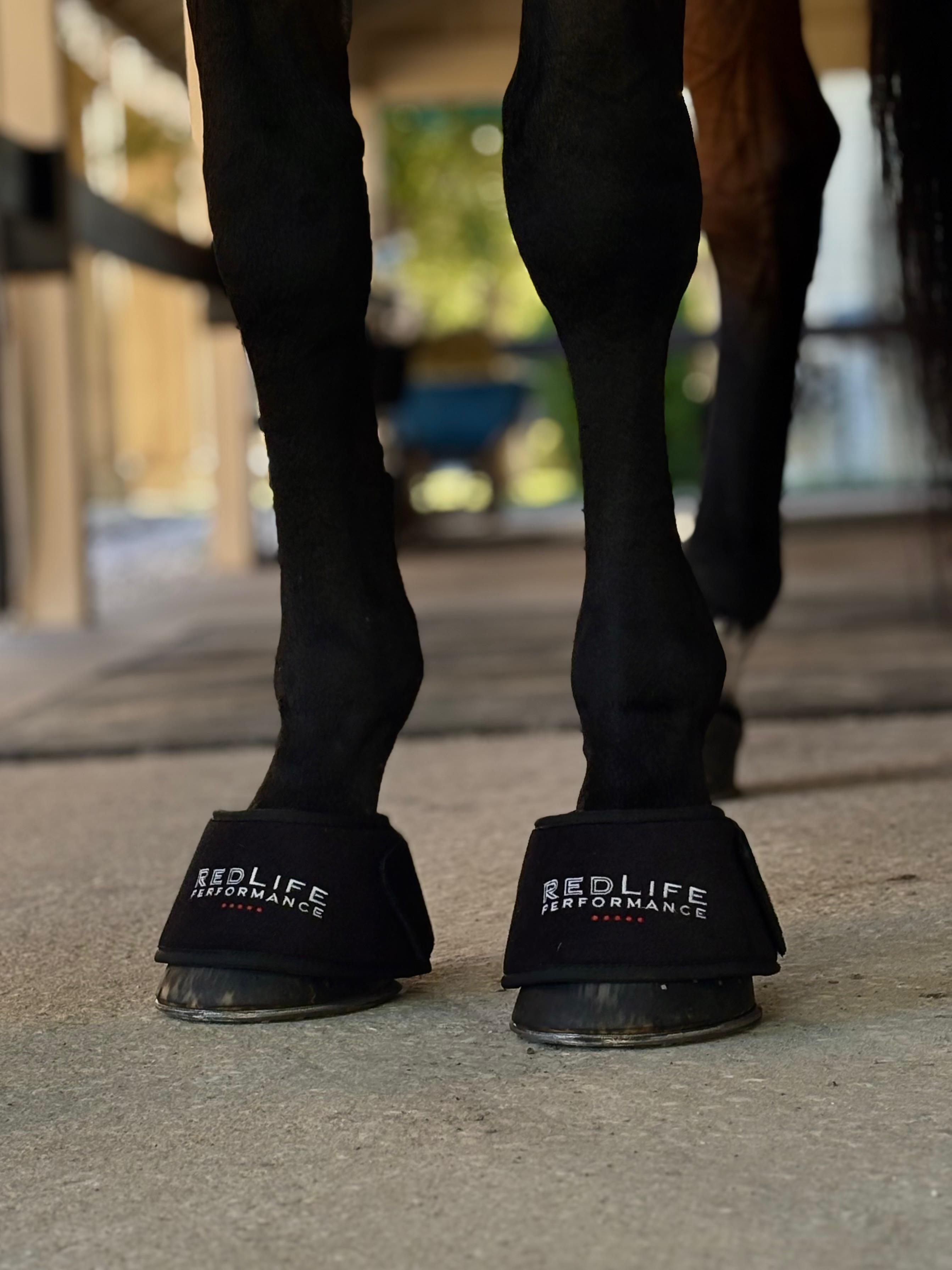Red Light Therapy Equine Bell Boot
