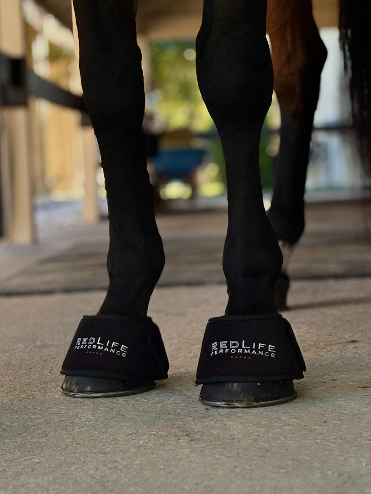 Red Light Therapy Equine Bell Boot