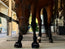 Red Light Therapy Equine Bell Boot