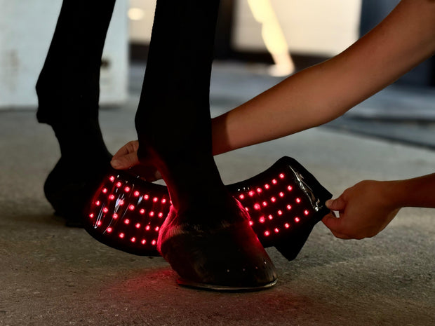 Red Light Therapy Equine Bell Boot