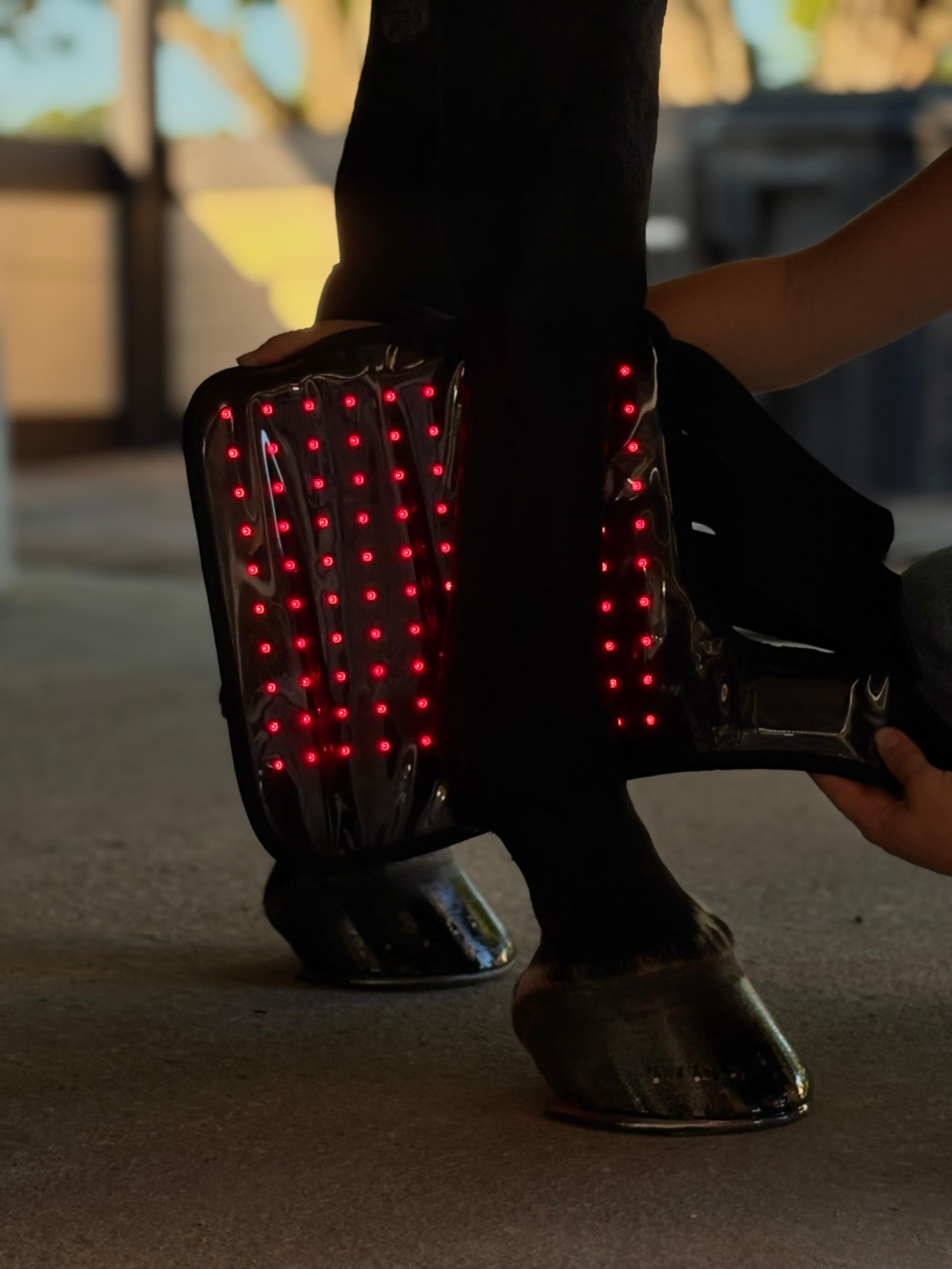 Red Light Therapy Equine Tendon Boot