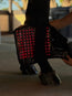 Red Light Therapy Equine Tendon Boot