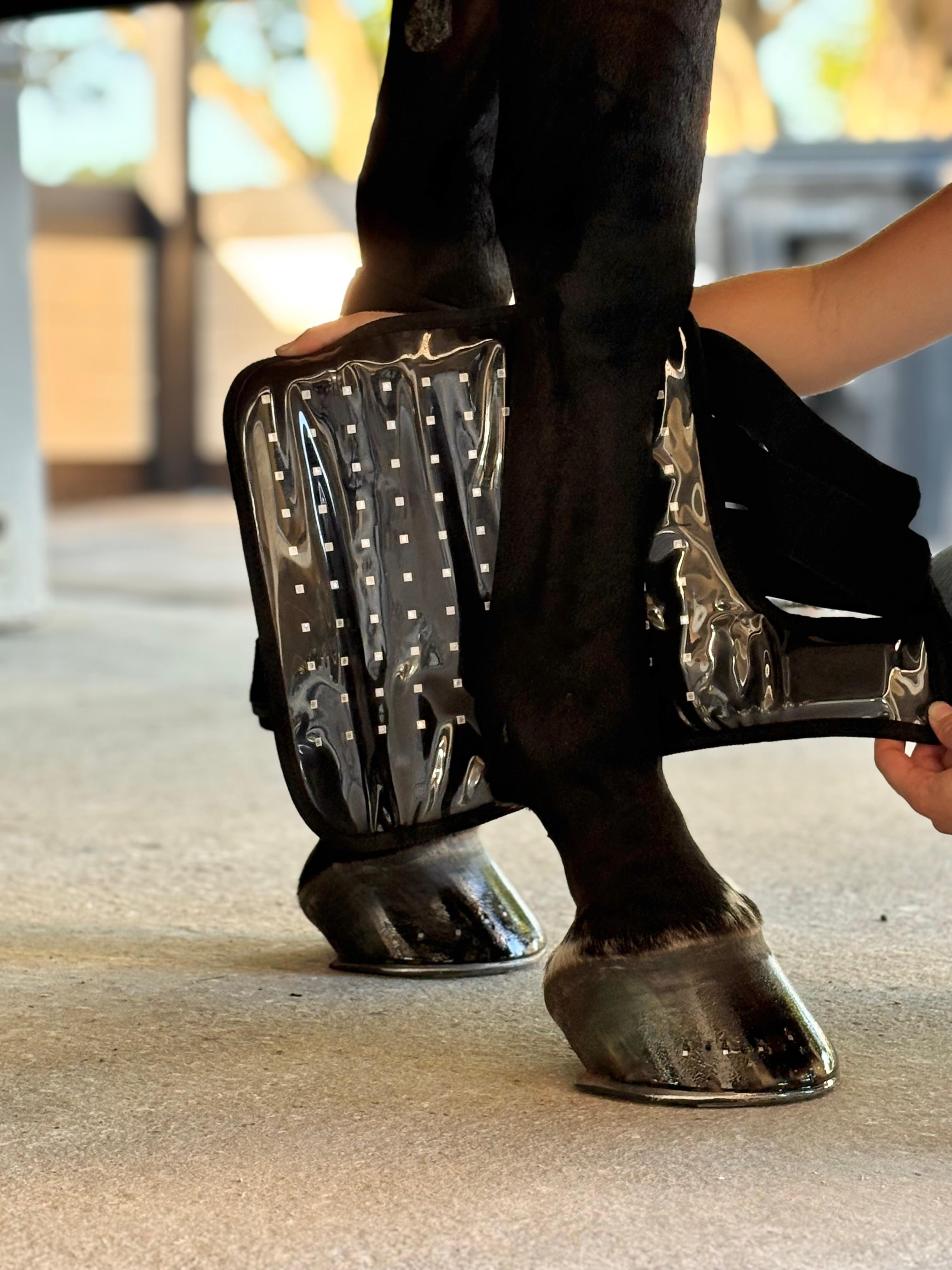 Red Light Therapy Equine Tendon Boot