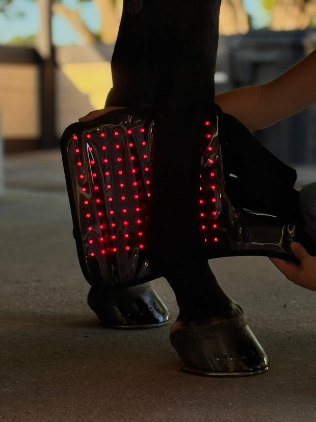 Red Light Therapy Equine Tendon Boot