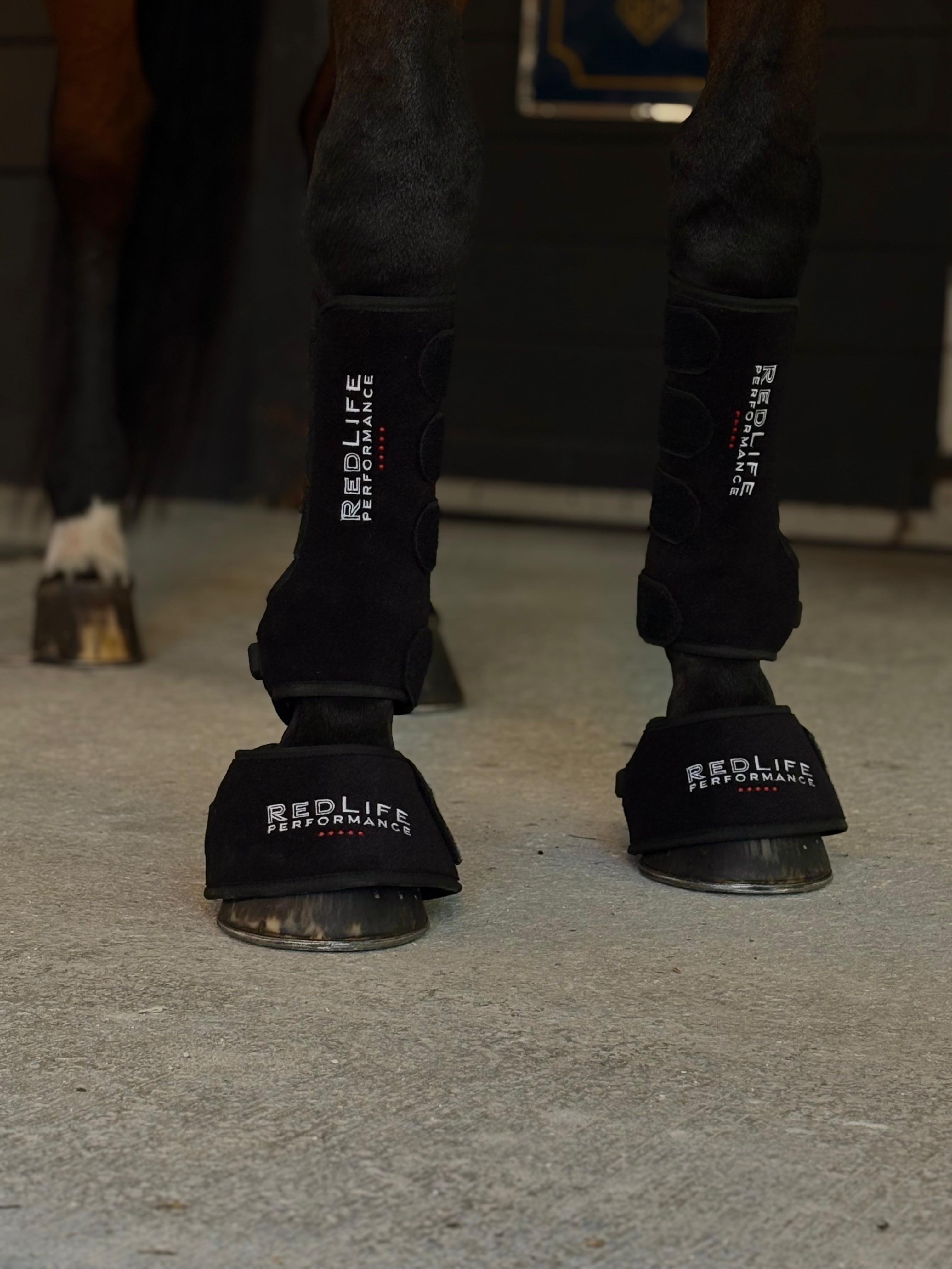 Bay horse standing in barn aisle wearing RedLife Performance red light bell boots and tendon boots. 