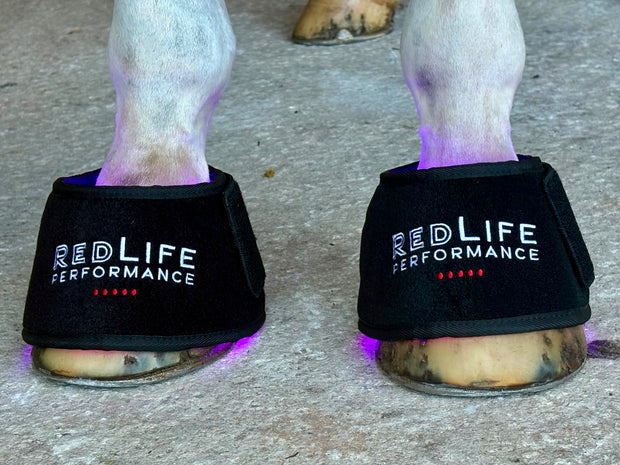 Red Light Therapy Equine Bell Boot with Blue Light