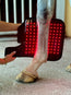 Red Light Therapy Equine Tendon Boot