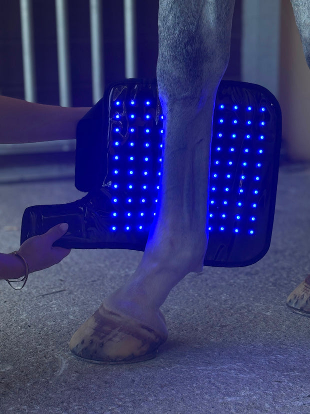 Red Light Therapy Equine Tendon Boot with Blue Light