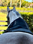 Red Light Therapy Equine Tendon Boot