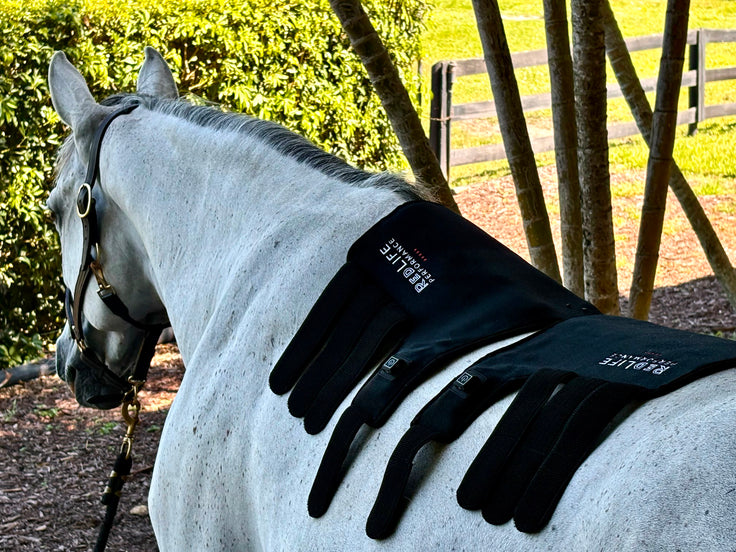 Red Light Therapy Equine Tendon Boot