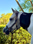 Red Light Therapy Equine Tendon Boot